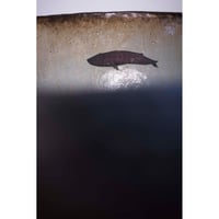Image 11 of Blue Whale Wash Hand Basin 