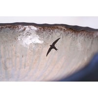 Image 11 of Swift Wash Hand Basin (stand not included)