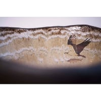Image 11 of Osprey Wash Hand Basin
