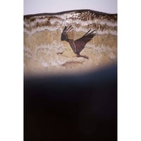 Image 13 of Osprey Wash Hand Basin
