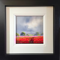 Image 2 of Allan Morgan "Sun Breaking Through"