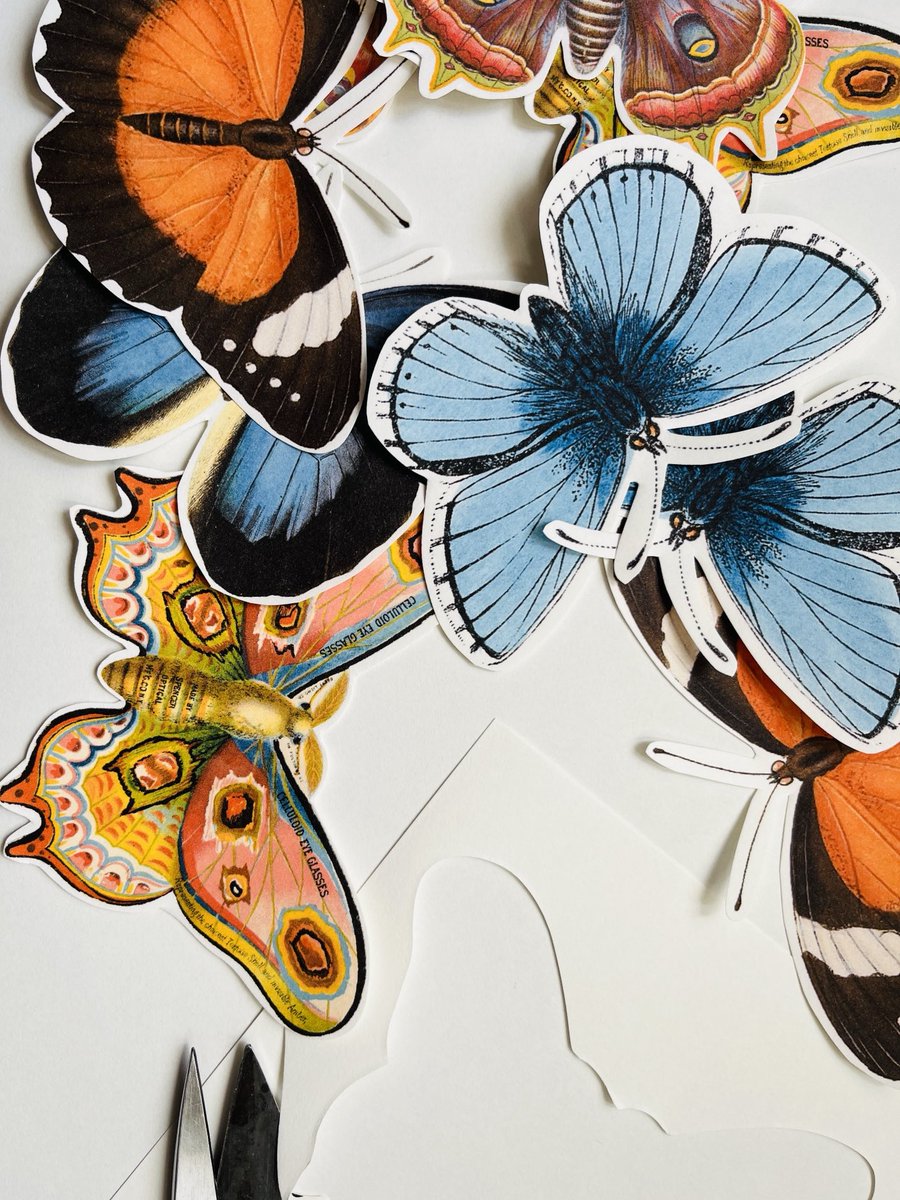 Image of 20 PAPILLONS