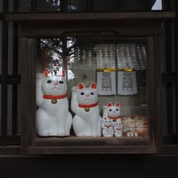 Image 11 of the lucky cat store (favourite things #116)
