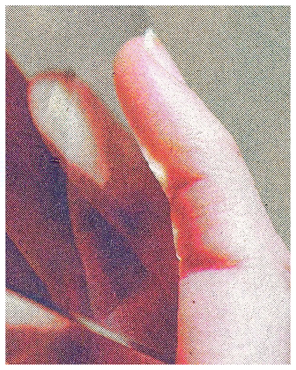 Image of [color/shift] COLOR STUDY PRINT-DU-JOUR