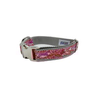 Pink Fox - Collar