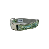 Green Fox - Collar 