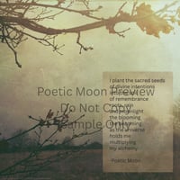 Sacred Seeds Poem Digital PDF File