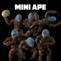 Image 1 of Mini Ape