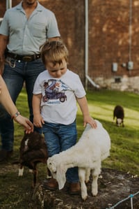 Image 2 of FARM Mini with Lambs |  March 14  | Deposit