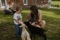 Image 4 of FARM Mini with Lambs |  March 14  | Deposit