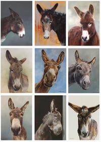 Donkey Nifty Nine Card Pack