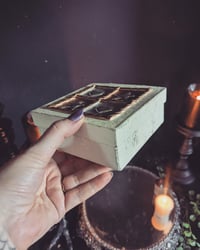 Image 2 of Whimsy box