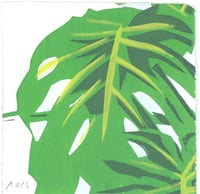 #115 Monstera 