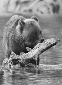 Image 1 of 18x24 ORIGINAL ART “ Catch of the day” 2022