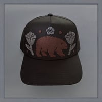 Image 1 of Black Bear