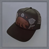 Image 2 of Black Bear
