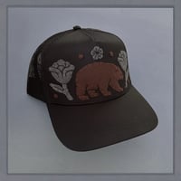Image 3 of Black Bear