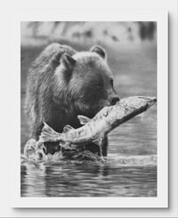 Image 7 of  Giclee print “Catch of the day”  2022