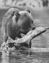 Image 1 of  Giclee print “Catch of the day”  2022