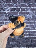 Micro Bear