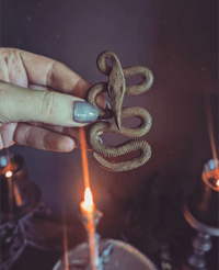 Snake Amulet 
