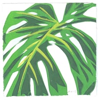 #122 Monstera IV