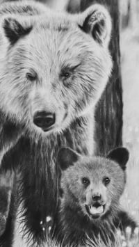 Image 2 of Giclee print “Momma bear knows best” 2021