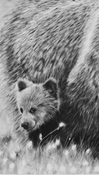 Image 3 of Giclee print “Momma bear knows best” 2021