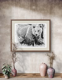 Image 5 of Giclee print “Momma bear knows best” 2021