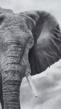 Image 3 of "Unwavering protector" print