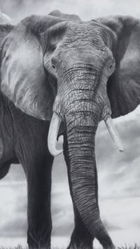 Image 6 of "Unwavering protector" print