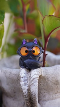 Image 1 of Black Cat