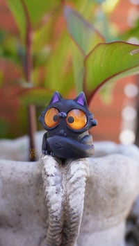 Image 3 of Black Cat