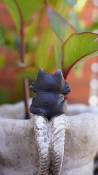 Image 4 of Black Cat