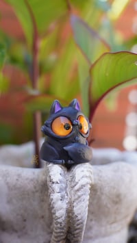 Image 2 of Black Cat