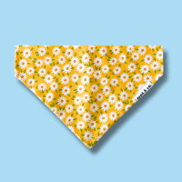 Image 1 of Yellow Daisies Dog Bandana