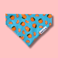Image 1 of Oranges Dog Bandana