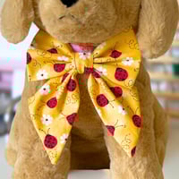 Image 3 of Ladybugs Dog Bow Tie