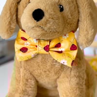Image 4 of Ladybugs Dog Bow Tie