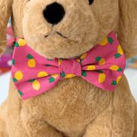 Image 2 of Lemons Dog Bow Tie