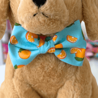 Image 3 of Oranges Dog Bow Tie