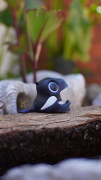 Image 3 of Magpie