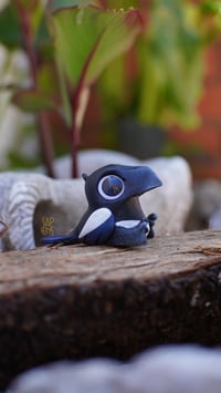 Image 4 of Magpie
