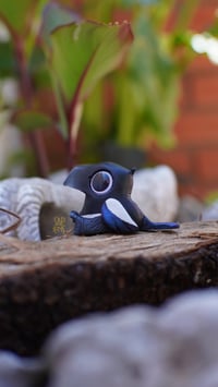 Image 5 of Magpie