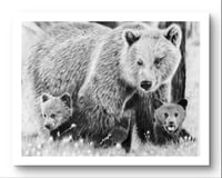 Image 1 of Giclee print “Momma bear knows best” 2021