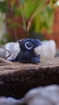 Image 3 of Crow