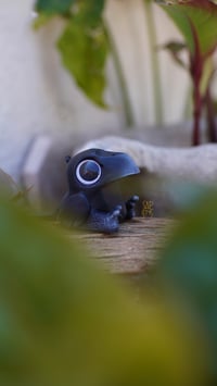 Image 2 of Crow