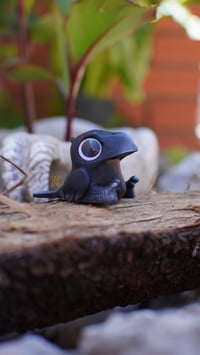 Image 5 of Crow