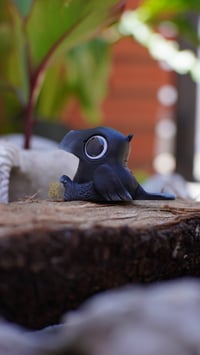 Image 1 of Crow