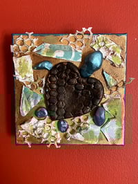 Turtle Love